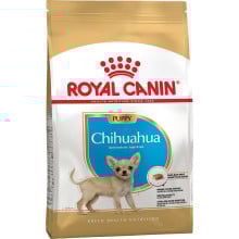 Сухий корм Royal Canin Chihuahua Puppy для цуценя чихуахуа, 500 г