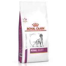Сухой корм Royal Canin Renal Select при хронической почечной недостаточности у собак, 10 кг