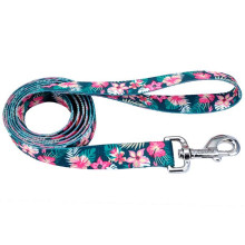 Поводок Coastal Pet Attire Style для собак, бирюзово-розовый, 1×1.2 м