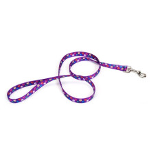 Поводок Coastal Pet Attire Style для собак, лапка, 2×1.8 м
