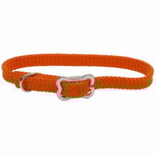 Нейлоновый ошейник Coastal Sunburst для собак, оранжевый, 1×30 см