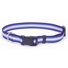 Нашийник Coastal Trendz Graduated для собак, зелений, 1×30 см