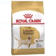 Сухой корм Royal Canin Labrador Retriever Adult для лабрадора, 3 кг