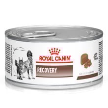 Влажный корм Royal Canin Recovery для кошек и собак в период восстановления после болезни, 195 г