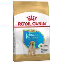 Сухой корм Royal Canin Labrador Retriever Puppy для щенков лабрадора до 15 месяцев, 12 кг