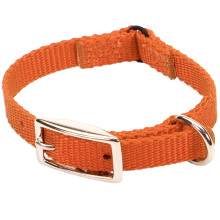 Безпечний нашийник Coastal Nylon Web для кішок, апельсиновий, 1 × 20 см