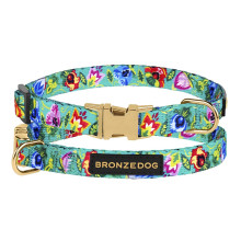 Ошейник BronzeDog Urban Folk, для собак и кошек, нейлоновый, фастекс металлический, ментоловый, 18-28×1 см
