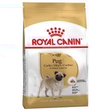Сухий корм Royal Canin Pug Adult для мопса, 3 кг