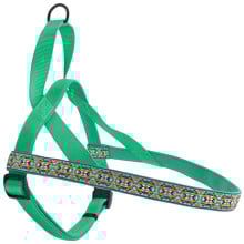 Шлея Coastal Ribbon Weave Harness для собак, темно-бірюзовий з кісточками, 35-40×1.6 см
