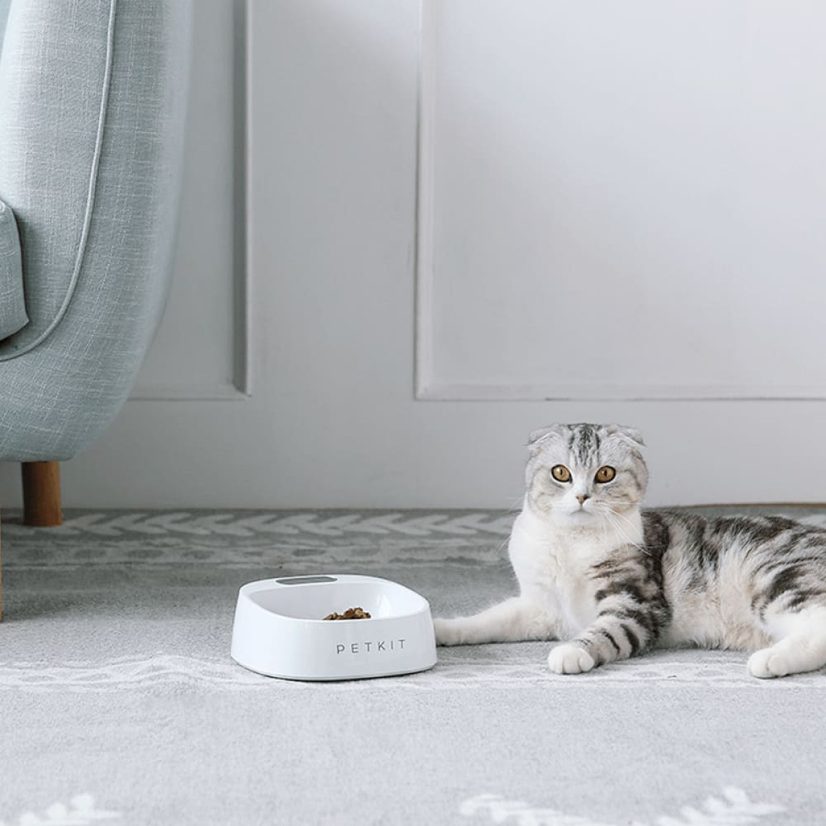 Миска Petkit Smart Pet Bowl со встроенными весами, для собак и кошек ...