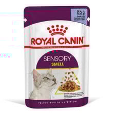 Влажный корм Royal Canin Sensory Smell Jelly для кошек привередливых к аромату, кусочки в желе, 85 г