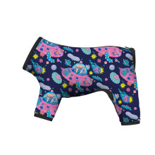 Дождевик Waudog Clothes для собак, рисунок "Рик и Морти 1", XS22