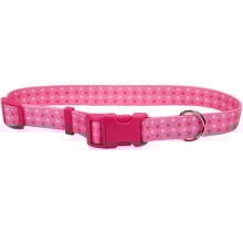 Ошейник Coastal Pet Attire Style для собак, розовый, 2.5×45-71 см