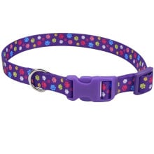 Ошейник Coastal Pet Attire Style для собак, фиолетовый, 2.5×45-71 см