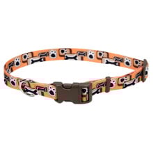 Ошейник Coastal Pet Attire Style для собак, оранжевый, 2.5×45-71 см