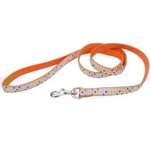 Повідець Coastal Pet Attire Ribbon для собак, різнокольоровий, 1.6×1.2 м