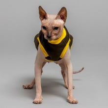 Майка Style Pets Classic khaki для кошек, размер XS