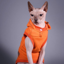 Майка без рукавів Style Pets Squash для котів, розмір XS