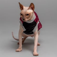 Майка Style Pets FaceSPM для котів, колір марсала, розмір XXS
