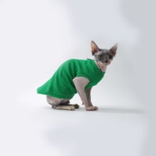 Майка Style Pets GLASS для котів, колір зелений, розмір S
