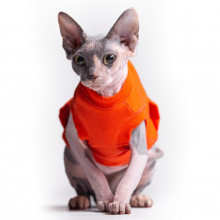 Майка Style Pets TVIXI для котів, колір помаранчевий, розмір L