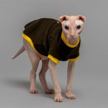 Кофта Style Pets Classic khaki для котів, розмір XS