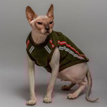 Майка Style Pets ELVIN для котів, колір зелений, розмір XS