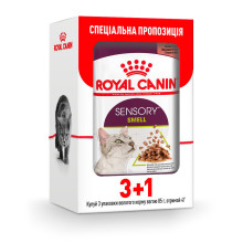 Влажный корм Royal Canin Sensory Smell Gravy для кошек привередливых к аромату, кусочки в соусе, 85 г, акция 3+1