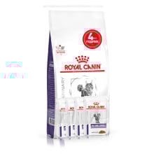 Акционный набор Royal Canin Mature Consult для кошек от 7 лет без видимых признаков старения, 1.5 кг + 4 пауча в подарок