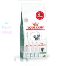 Акционный набор Royal Canin Renal при почечной недостаточности у кошек, 2 кг + 4 пауча в подарок