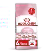Акционный набор Royal Canin Kitten для котят от 4 до 12 месяцев, 2 кг + 4 пауча в подарок