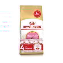 Акционный набор Royal Canin Maine Coon Kitten для котят мейн-кунов до 15 месяцев, 2 кг + 4 пауча в подарок