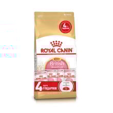 Акционный набор Royal Canin British Shorthair Kitten для британских котят, 2 кг + 4 паучи в подарок
