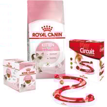 Набор сухого корма Royal Canin Kitten 2 кг + влажный корм 12 шт по 85 г + игровой трек в подарок