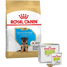 Набор сухого корма Royal Canin Puppy German Shepherd 12 кг + лакомство Educ 30 шт в подарок