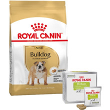 Набор сухого корма Royal Canin Adult Bulldog 12 кг + лакомство Educ 30 шт в подарок