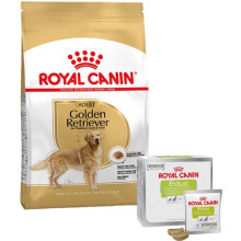 Набор сухого корма Royal Canin Adult Golden Retriever 12 кг + лакомство Educ 30 шт в подарок