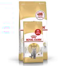 Сухий корм Royal Canin British Shorthair Adult для британських короткошерстих кішок, 2 кг + 400 г у подарунок