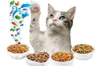 Сухі корми для котів та собак