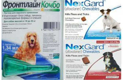 Купуйте NexGard та Frontline Combo Spot On поштучно
