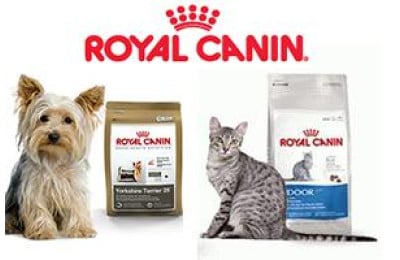 Кращий корм для котів та собак - Royal Canin