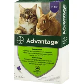 Краплі від бліх Bayer Advantage 80 для котів понад 4 кг, ціна за 1 піпетку(відкл) Краплі від бліх Bayer Advantage 80 для котів понад 4 кг, ціна за 1 піпетку(відкл)