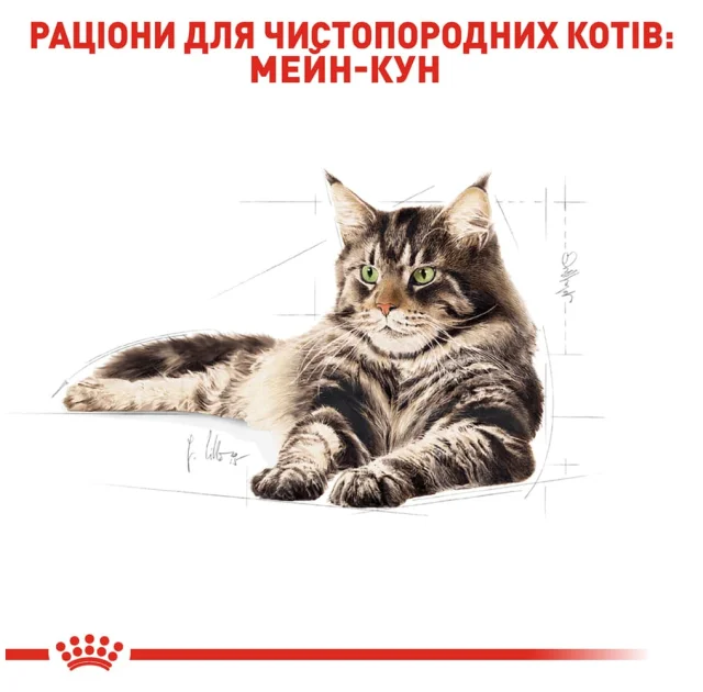 Сухий корм Royal Canin Maine Coon Adult для мейн-кунів, 2 кг