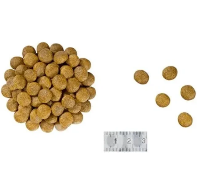Сухий корм Royal Canin Renal Select при хронічною нирковою недостатністю у кішок, 4 кг