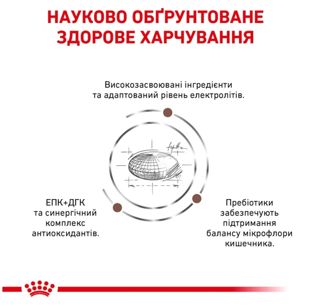 Сухий корм Royal Canin Gastrointestinal Fibre Response при порушеннях травлення у кішок, 2 кг