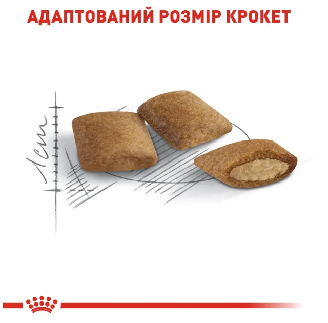 Сухий корм Royal Canin Ageing 12+ для кішок від 12 років, 2 кг