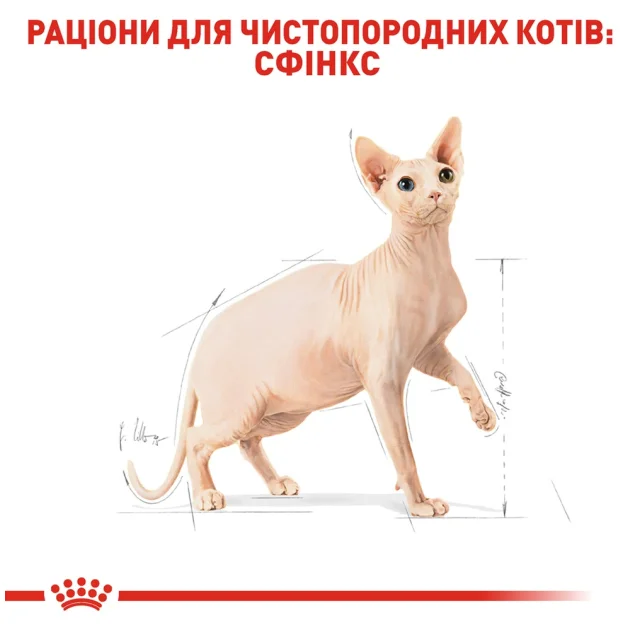 Сухий корм Royal Canin Sphynx Adult для сфінкса, 2 кг
