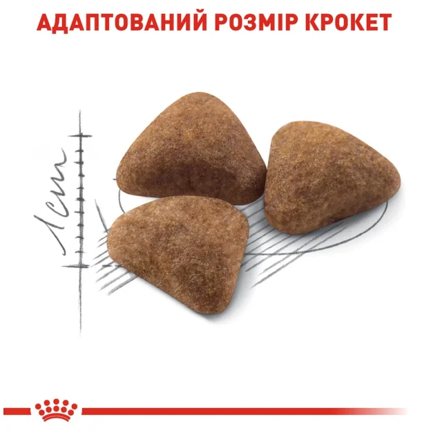 Сухий корм Royal Canin Indoor 27 для кішок постійно живуть у приміщенні, 4 кг