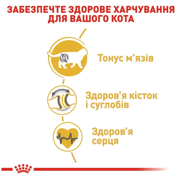 Сухий корм Royal Canin British Shorthair Adult для британських короткошерстих кішок, 400 г
