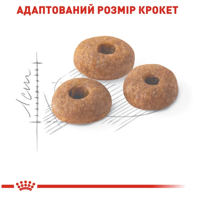 Сухий корм Royal Canin Fit 32 для кішок, 4 кг